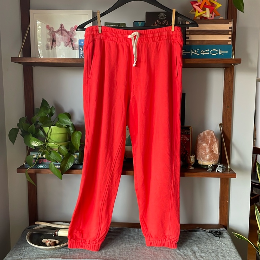 Everlane 100% Organic Cotton Joggers Like New